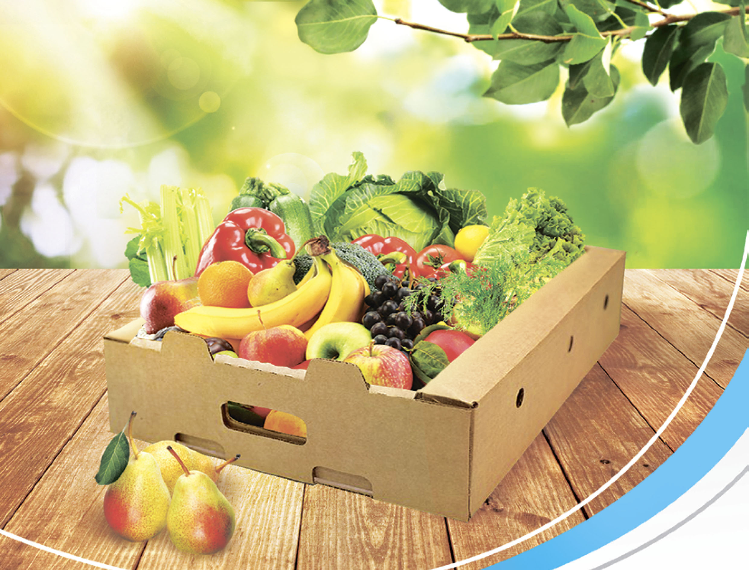 Лоток под фрукты и овощи